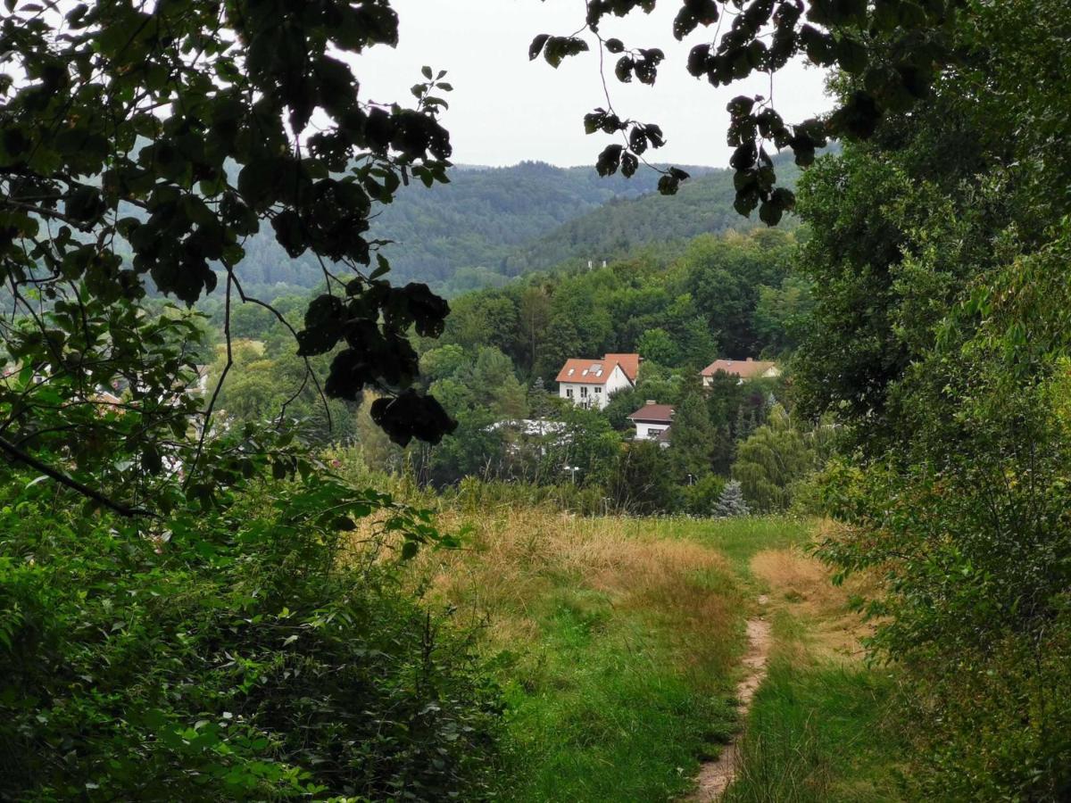 Апартаменты Haus Froehlich Михельштадт Экстерьер фото